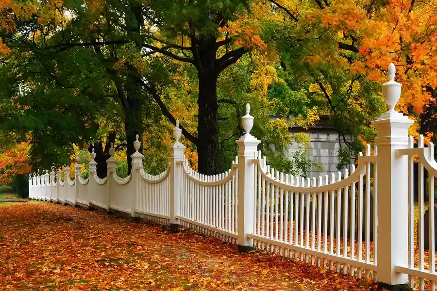How To Choose The Right Wood Fence For Your Landscape Santa Monica, CA How To Choose The Right Wood Fence For Your Landscape Santa Monica, CA