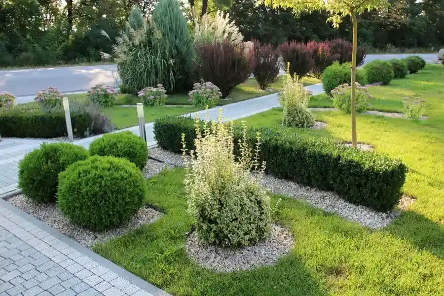 The Importance Of Pruning In Landscape Maintenance in Santa Monica, CA